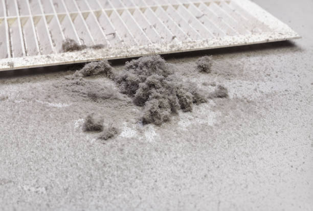 Best Home Air Vent Cleaning  in Wheeling, WV