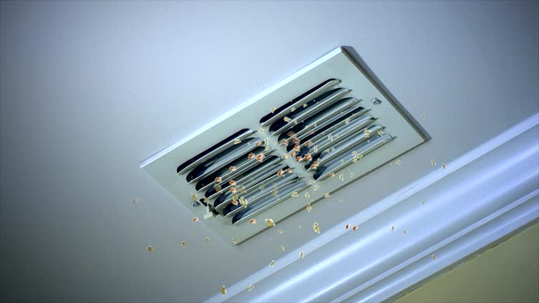 Best Commercial Air Duct Cleaning  in Wheeling, WV